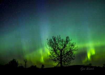 Saskatchewan Northern Lights