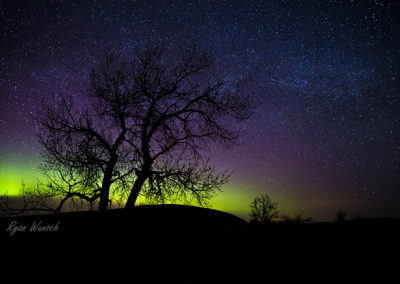 Saskatchewan northern lights