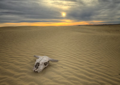 Great Sandhills in Saskatchewan Canada